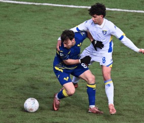 意甲：萨索洛状态有所起伏，维罗纳近期表现尴尬