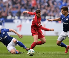 德甲激战一触即发：弗赖堡主场誓破柏林联合铁桶阵